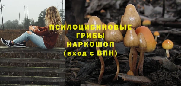 СК Алзамай