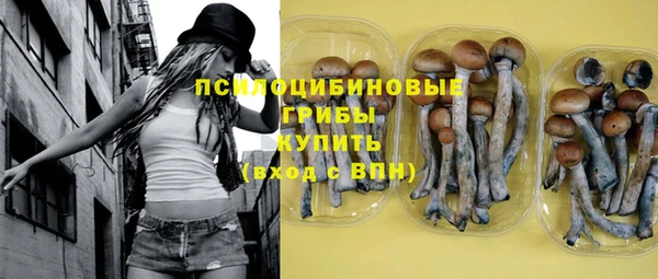 СК Алзамай