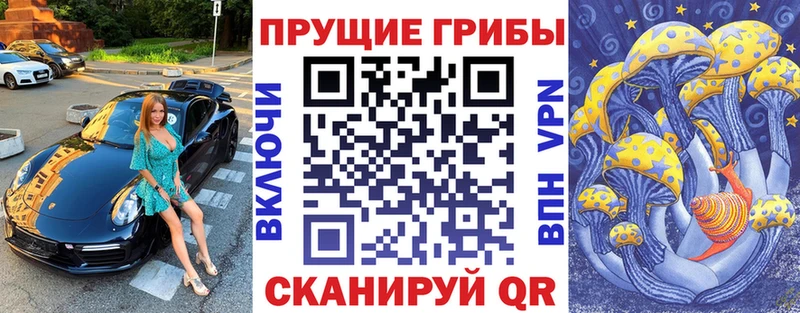 Галлюциногенные грибы MAGIC MUSHROOMS  omg как зайти  Ачхой-Мартан 